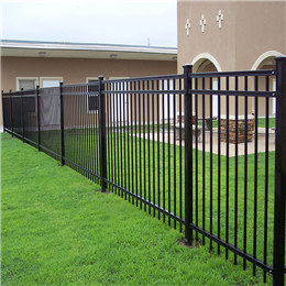 Black iron fence