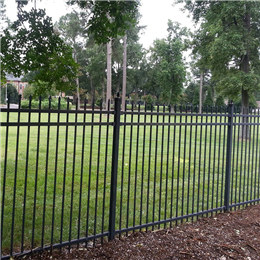 Wrought iron garden fence