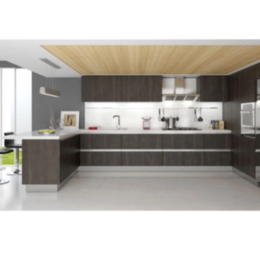 Contemporary Kitchen Cabinets