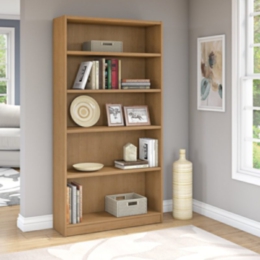 Bookcases And Shelves